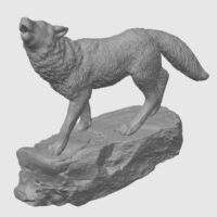 Wolf + Rock