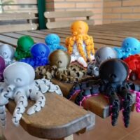 Octopus